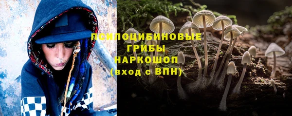 дживик Нефтегорск